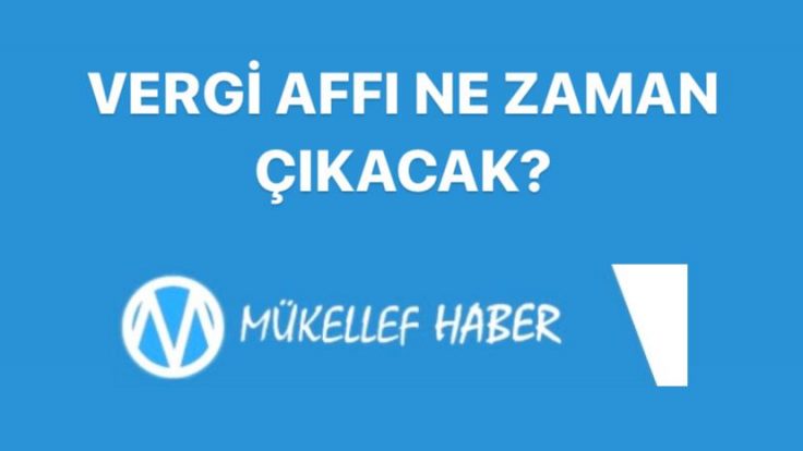 VERGİ AFLARININ OLUMLU VE OLUMSUZ TARAFLARI VE 2020 YILI VERGİ BARIŞINDAN BEKLENENLER NELERDİR?