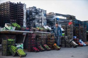 SEBZE VE MEYVE TOPTANCI HALLERİNDE ALINAN HAL RÜSUMLARI VE BUNLARIN PAYLAŞIMINA DAİR SORUNLAR