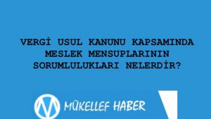 VERGİ USUL KANUNU KAPSAMINDA MESLEK MENSUPLARININ SORUMLULUKLARI NELERİ KAPSAR?