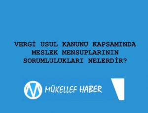 VERGİ USUL KANUNU KAPSAMINDA MESLEK MENSUPLARININ SORUMLULUKLARI NELERİ KAPSAR?