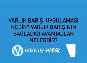 VARLIK BARIŞI UYGULAMASI NEDİR? VARLIK BARIŞININ SAĞLADIĞI AVANTAJLAR NELERDİR?