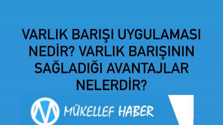 VARLIK BARIŞI UYGULAMASI NEDİR? VARLIK BARIŞININ SAĞLADIĞI AVANTAJLAR NELERDİR?