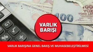 7256 SAYILI KANUN KAPSAMINDA VARLIK BARIŞINA GENEL BAKIŞ VE MUHASEBELEŞTİRİLMESİ