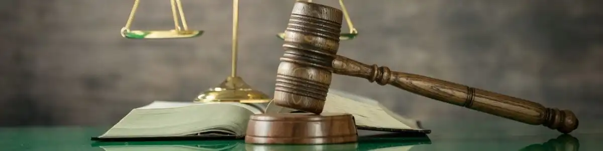 Avcilar vergi avukati 1